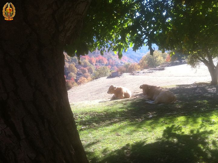 Ruta Sulayr 09-11-2013 13.jpeg